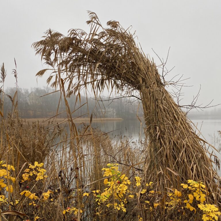 Taipunut heinäpaalu, jonka edessä on kukkia, veden rannalla.