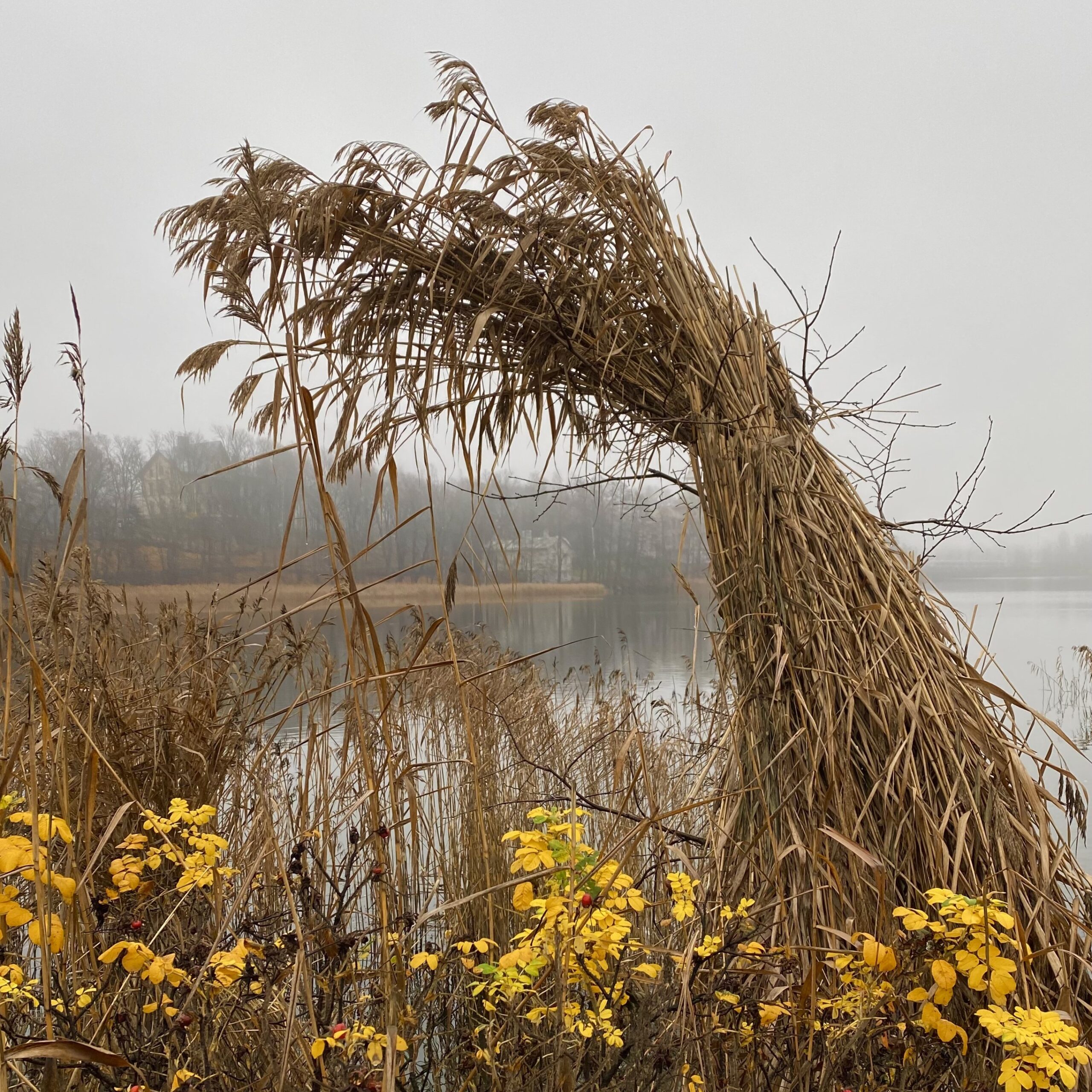 Taipunut heinäpaalu, jonka edessä on kukkia, veden rannalla.